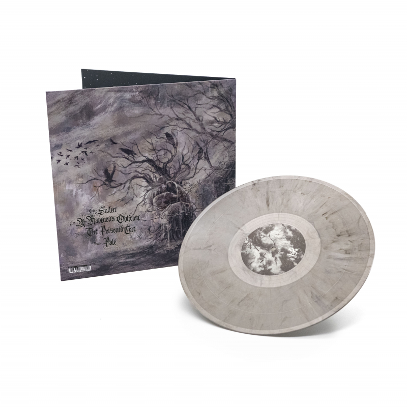 Austere - Corrosion Of Hearts Vinyl Gatefold LP  |  Grey Marble