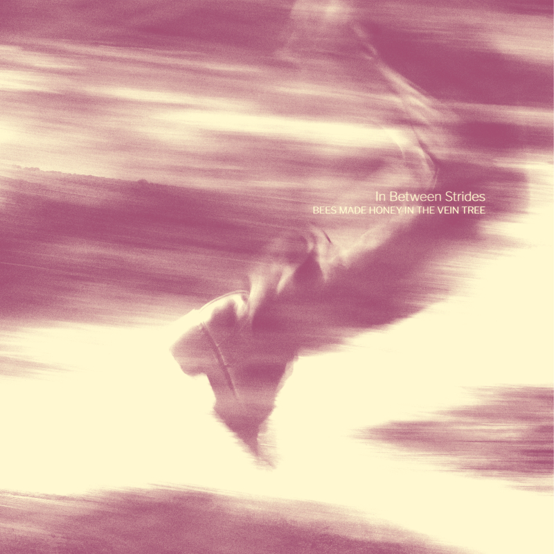 Bees Made Honey In The Vein Tree - In Between Strides CD Digisleeve 