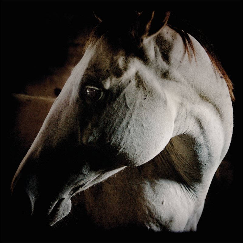 Brother Dege - How To Kill A Horse Vinyl Gatefold LP  |  Black