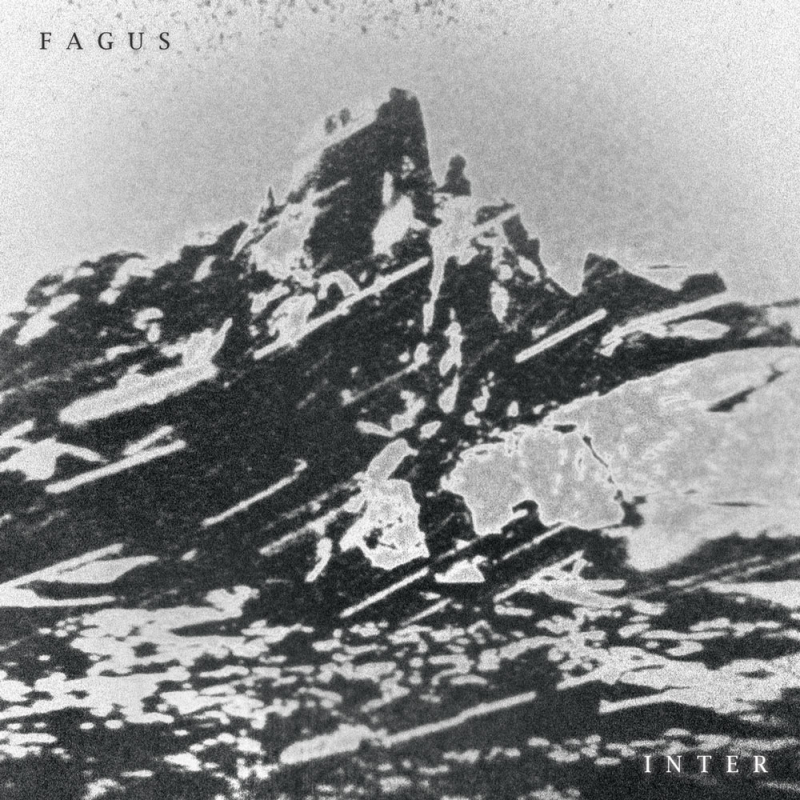 Fagus - Inter 