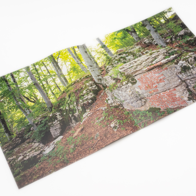 Fauna - Ochre & Ash Vinyl 2-LP Gatefold  |  Oxblood