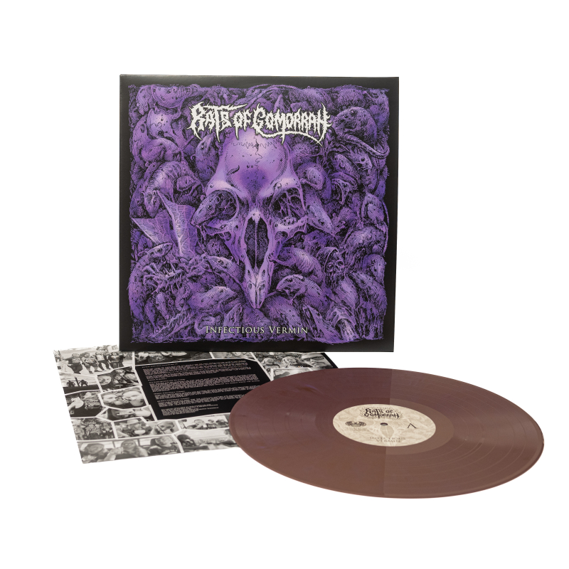 Rats Of Gomorrah - Infectious Vermin Vinyl LP  |  Purple/Gold Marble