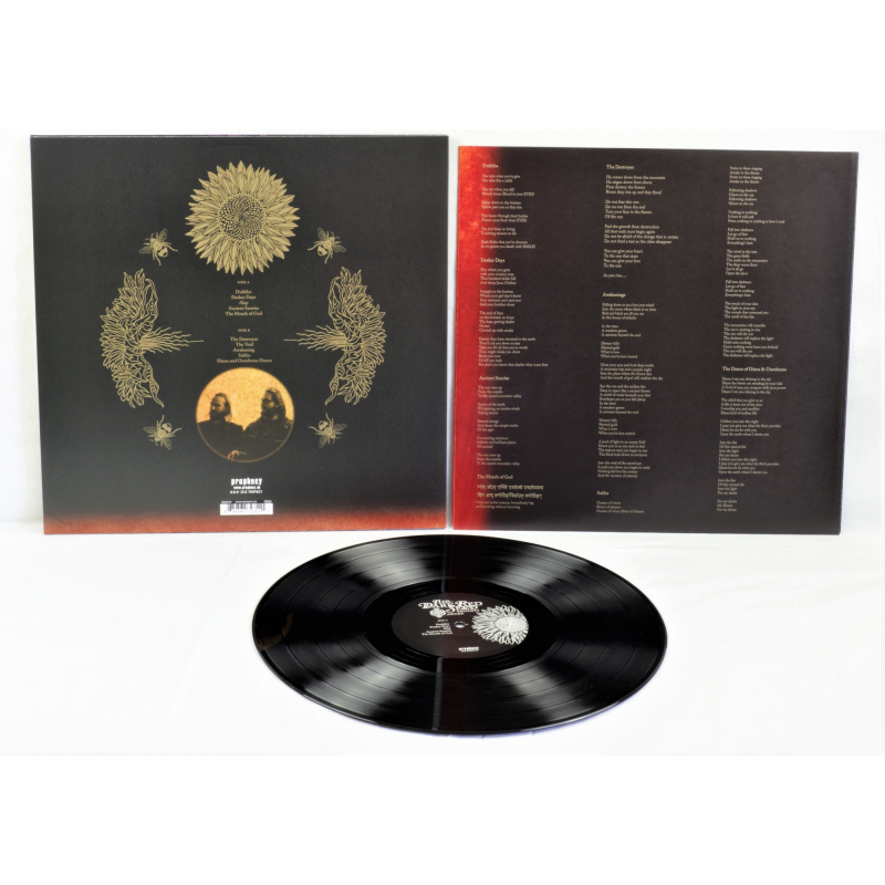 The Dark Red Seed - Becomes Awake Vinyl LP  |  Black