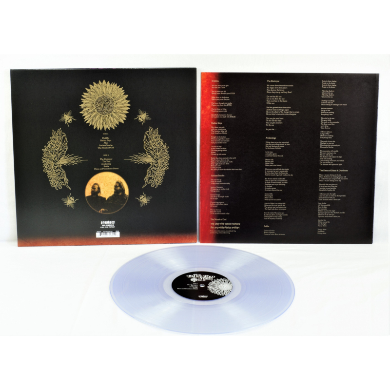 The Dark Red Seed - Becomes Awake Vinyl LP  |  Clear