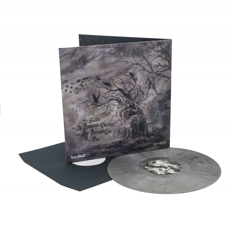 Austere - Corrosion Of Hearts Vinyl Gatefold LP  |  Grey Marble