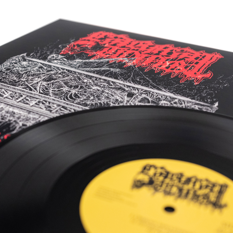 Carnal Tomb - Osseous Sarcophagus Vinyl 10"  |  Black